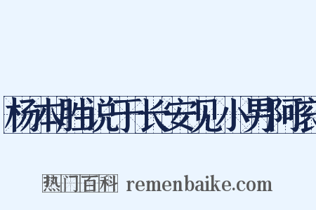 杨本胜说于长安见小男阿衮是什么意思的图片
